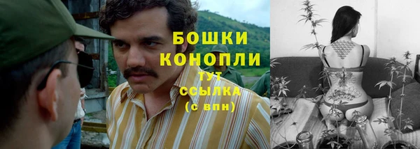 прущие грибы Надым