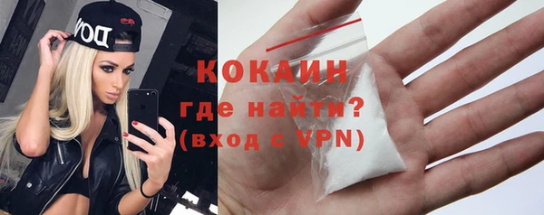 прущие грибы Надым