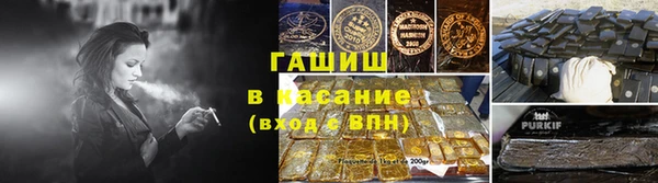 прущие грибы Надым