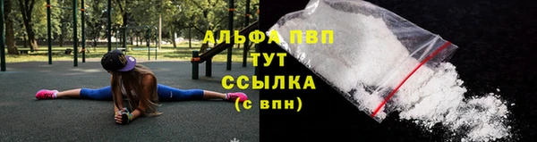 прущие грибы Надым