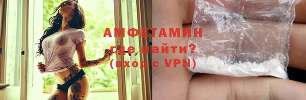 прущие грибы Надым