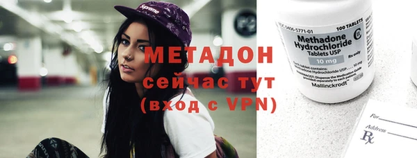 прущие грибы Надым