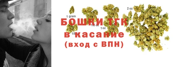 прущие грибы Надым