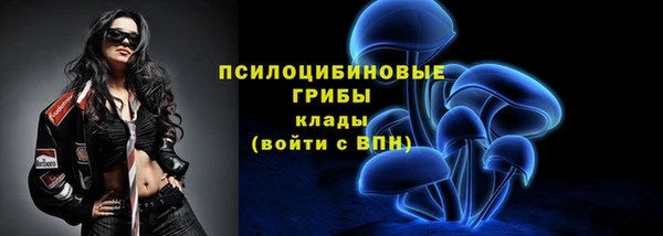 шишки Наволоки