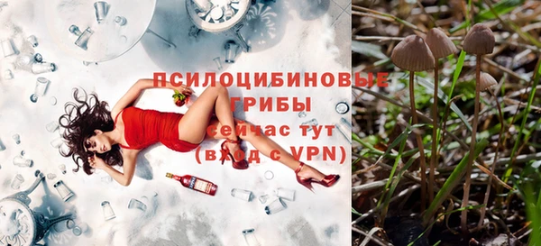шишки Наволоки