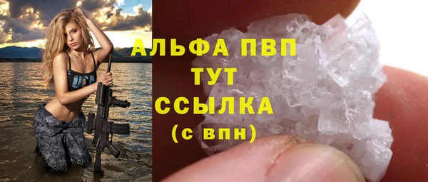прущие грибы Надым