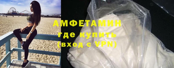 прущие грибы Надым