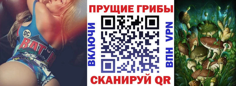 Псилоцибиновые грибы Cubensis  где купить наркоту  Чудово 